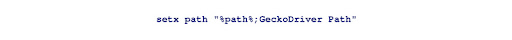 selenium basics